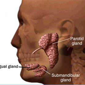 Benign Paroxysmal Positional Vertigo